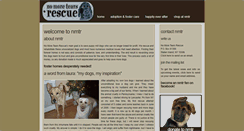 Desktop Screenshot of nomoretearsrescue.com